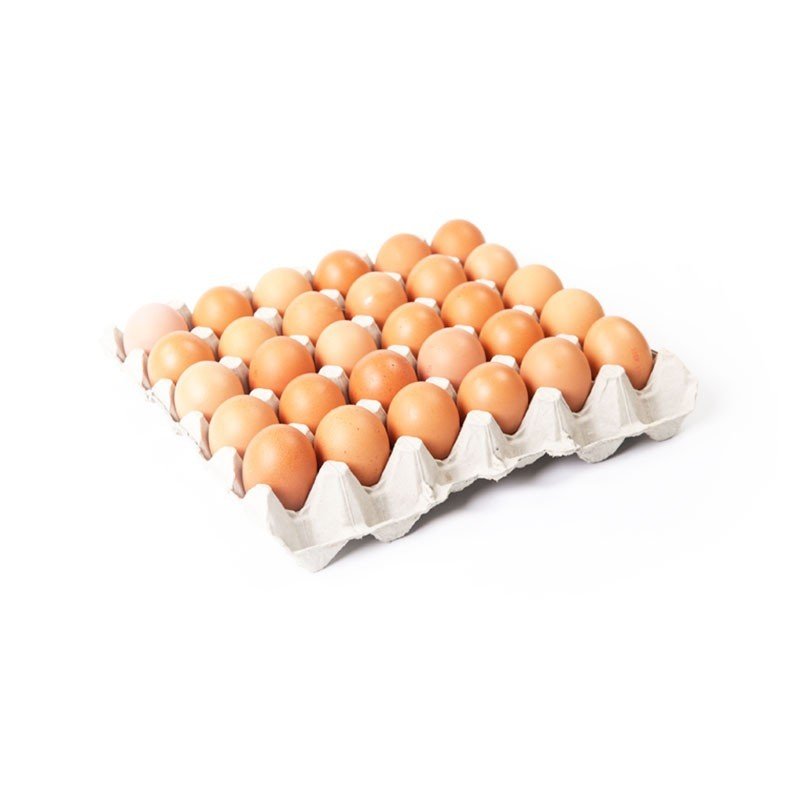 صحن بيض 30 بيضة